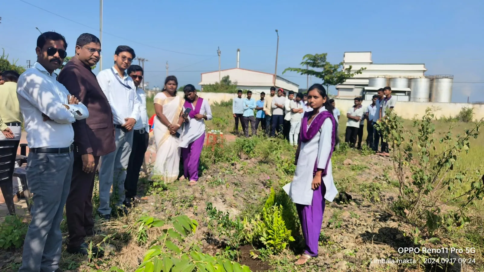 Tree Plantation & Maintenance
