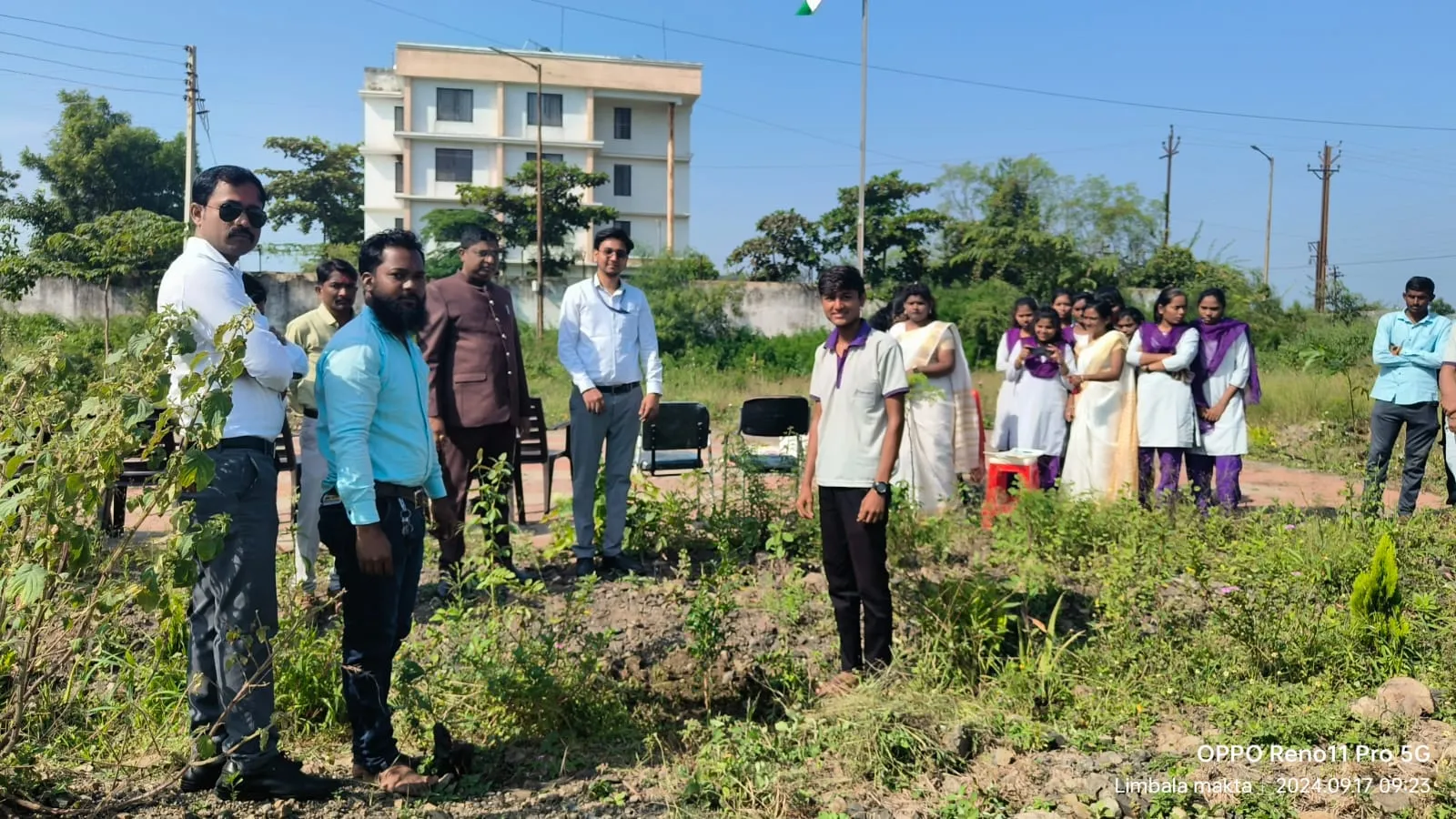 Sapling care and maintenance
