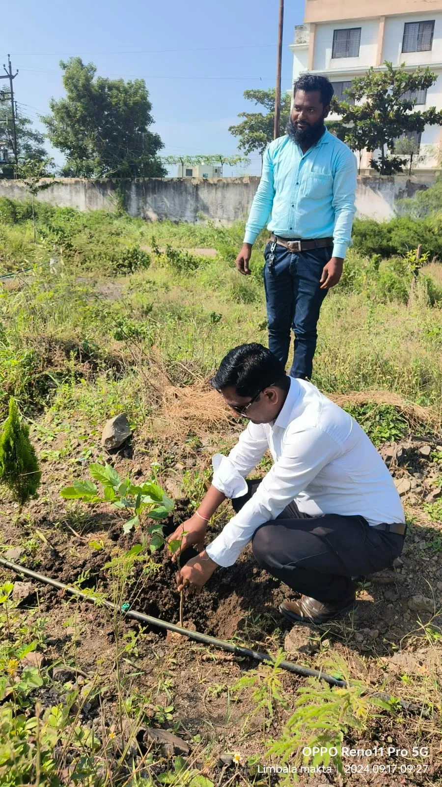 Tree growth monitoring